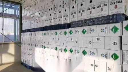 R438A R600A R32 R404A R507 R407c R290 R22 R134A R410A R227ea FM200 Хладагент переменного тока